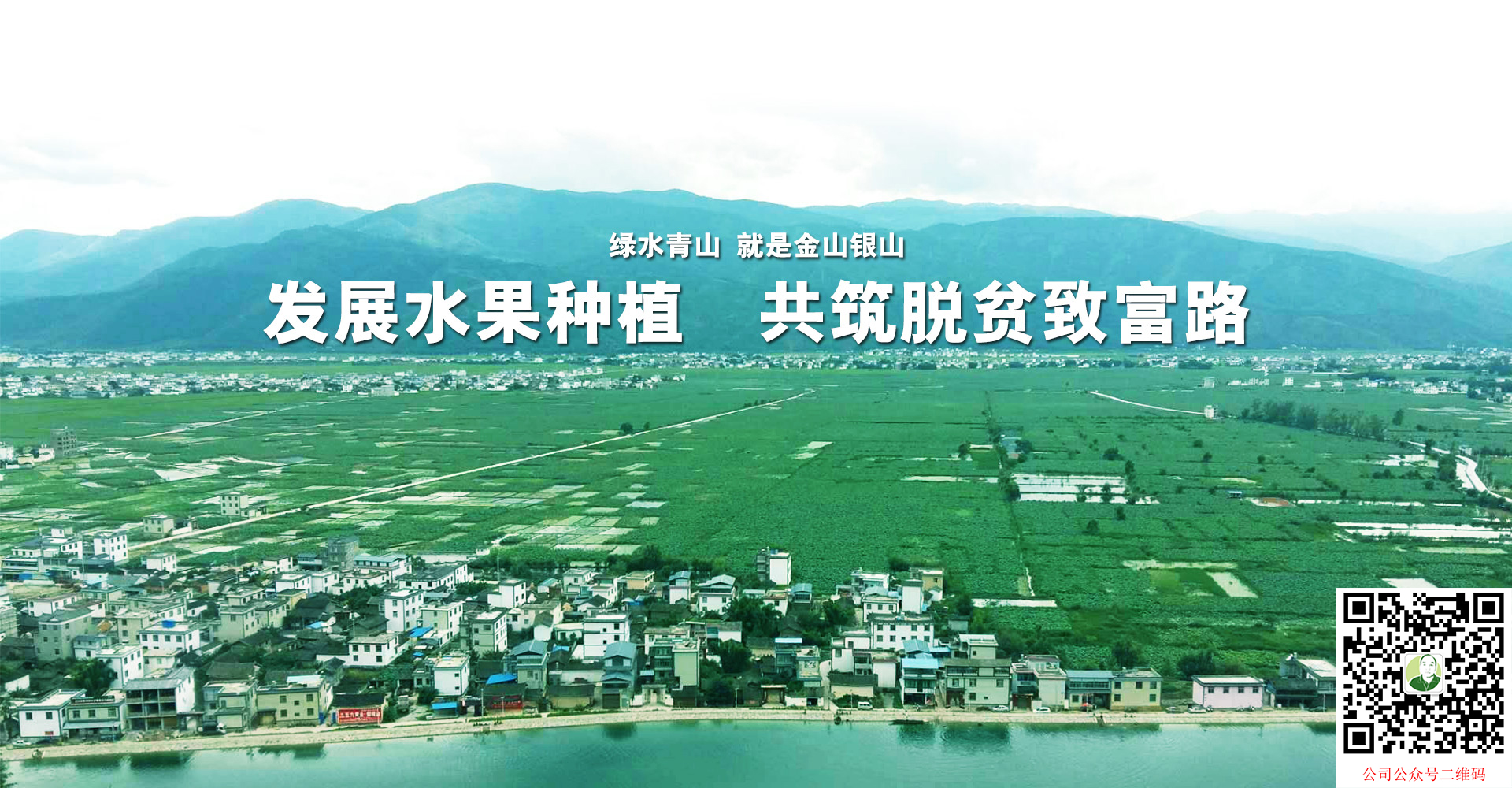 发展水果种植